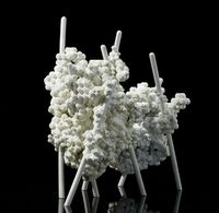 Dimitri Nikitin: i.We structure