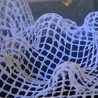 Jan Kvita: Reef Revive