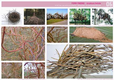 Nina Hedwic: Palc Umn Praha