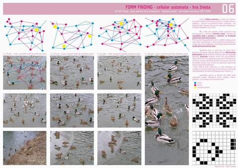Nina Hedwic: Palc Umn Praha
