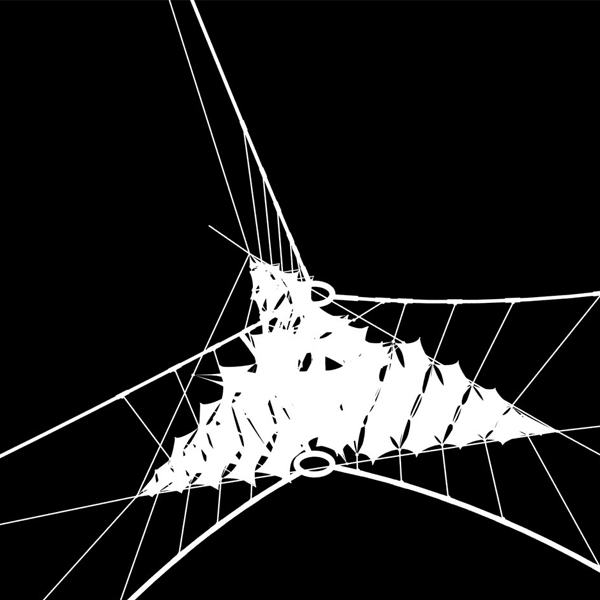 Daniel Vejstrk | Membrane Structure