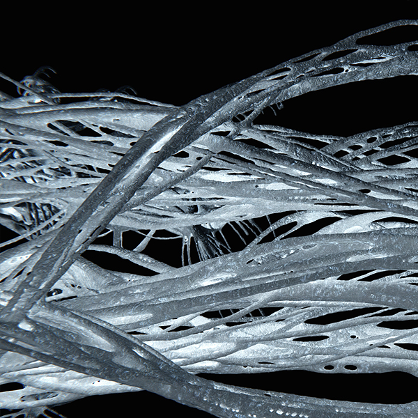 Jakub Trčka | Cze-Growing , EXPO 2020