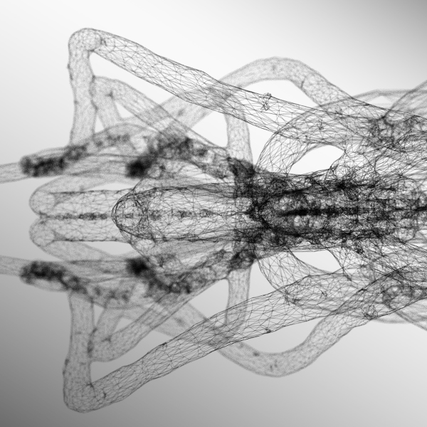 Jakub Trčka | Growing architecture