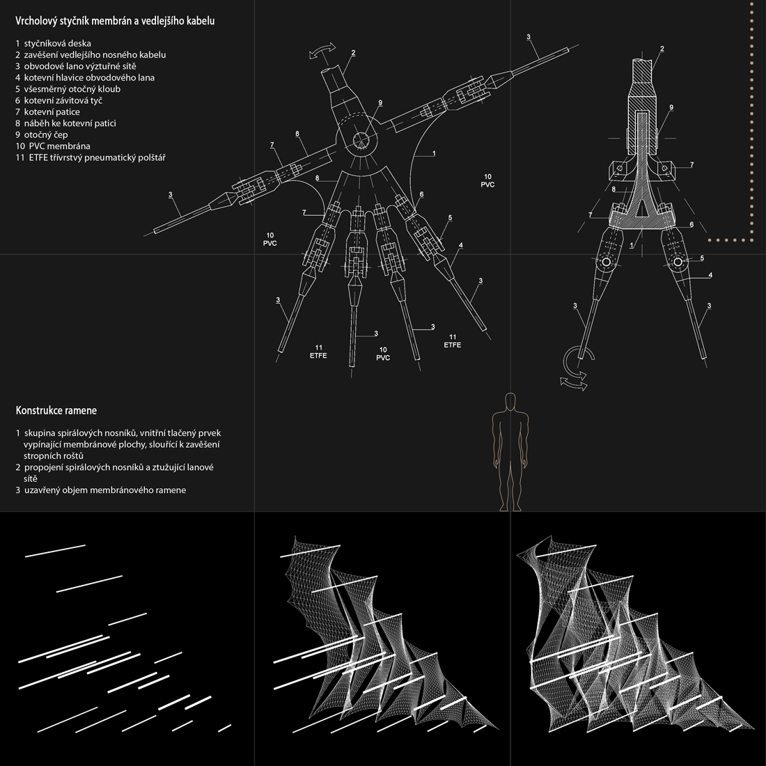 Daniel Vejstrk | Membrane Structure