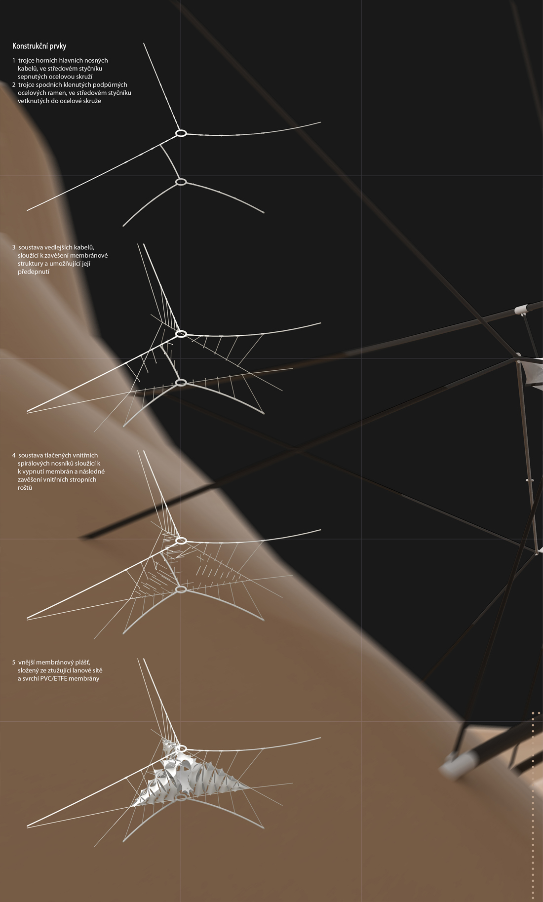 Daniel Vejstrk | Membrane Structure