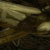 Jakub Jenšovský: _pulsating_ambience