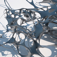 Martin Císař: SPORT&MOTION GENESIS STRUCTURE