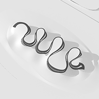 Veronika Alföldiová: The Zipper House