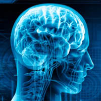 Ondřej Tomšů: Brain play project