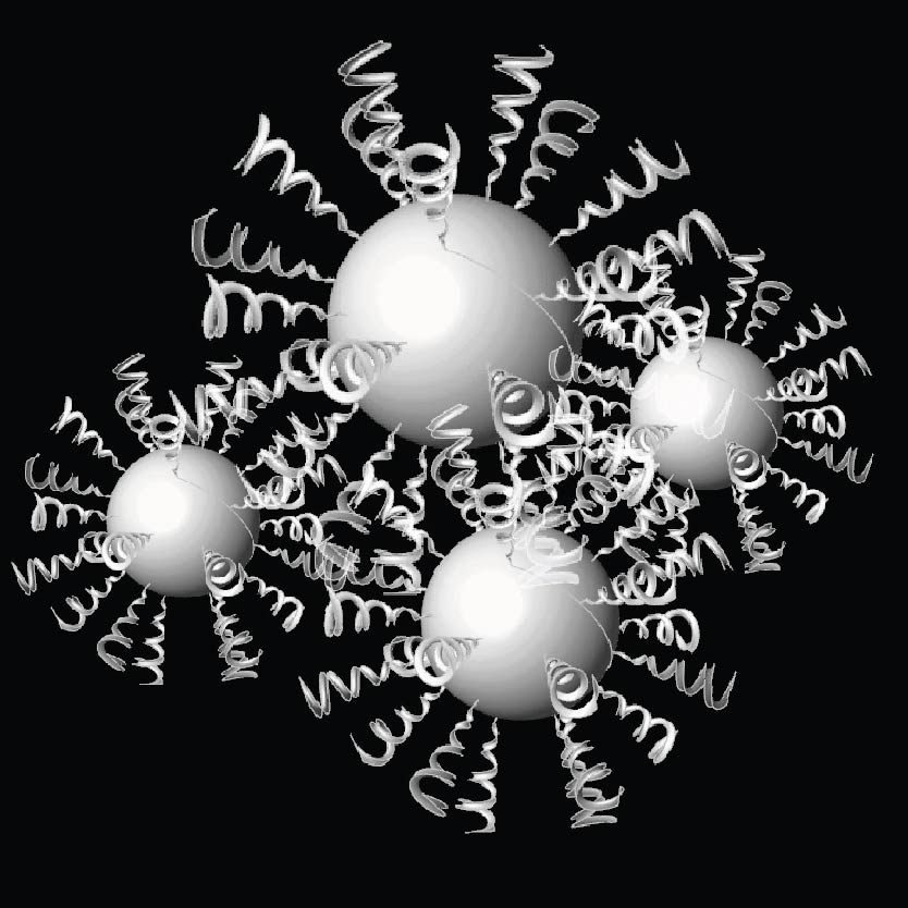 Isabela Ferrari: SWARM