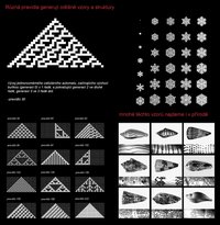 Jan Kalfus: Průmyslová zóna Holešov (Cellular Automata)